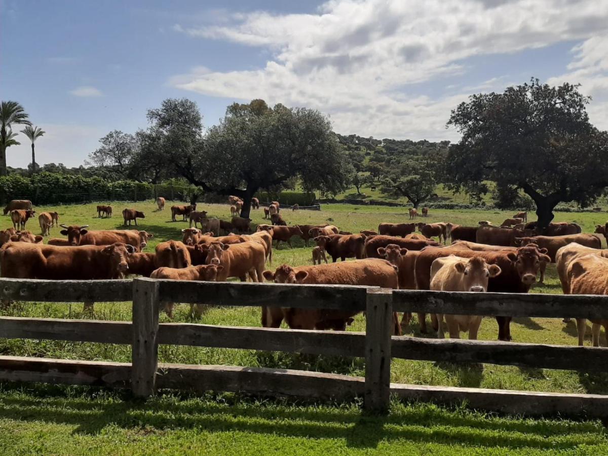 Alojamiento Rural Finca Barral El Garrobo Luaran gambar