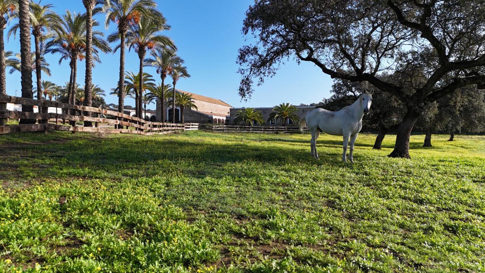 Alojamiento Rural Finca Barral El Garrobo Luaran gambar