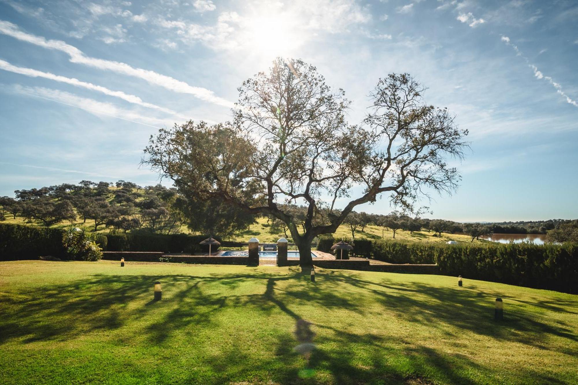 Alojamiento Rural Finca Barral El Garrobo Luaran gambar