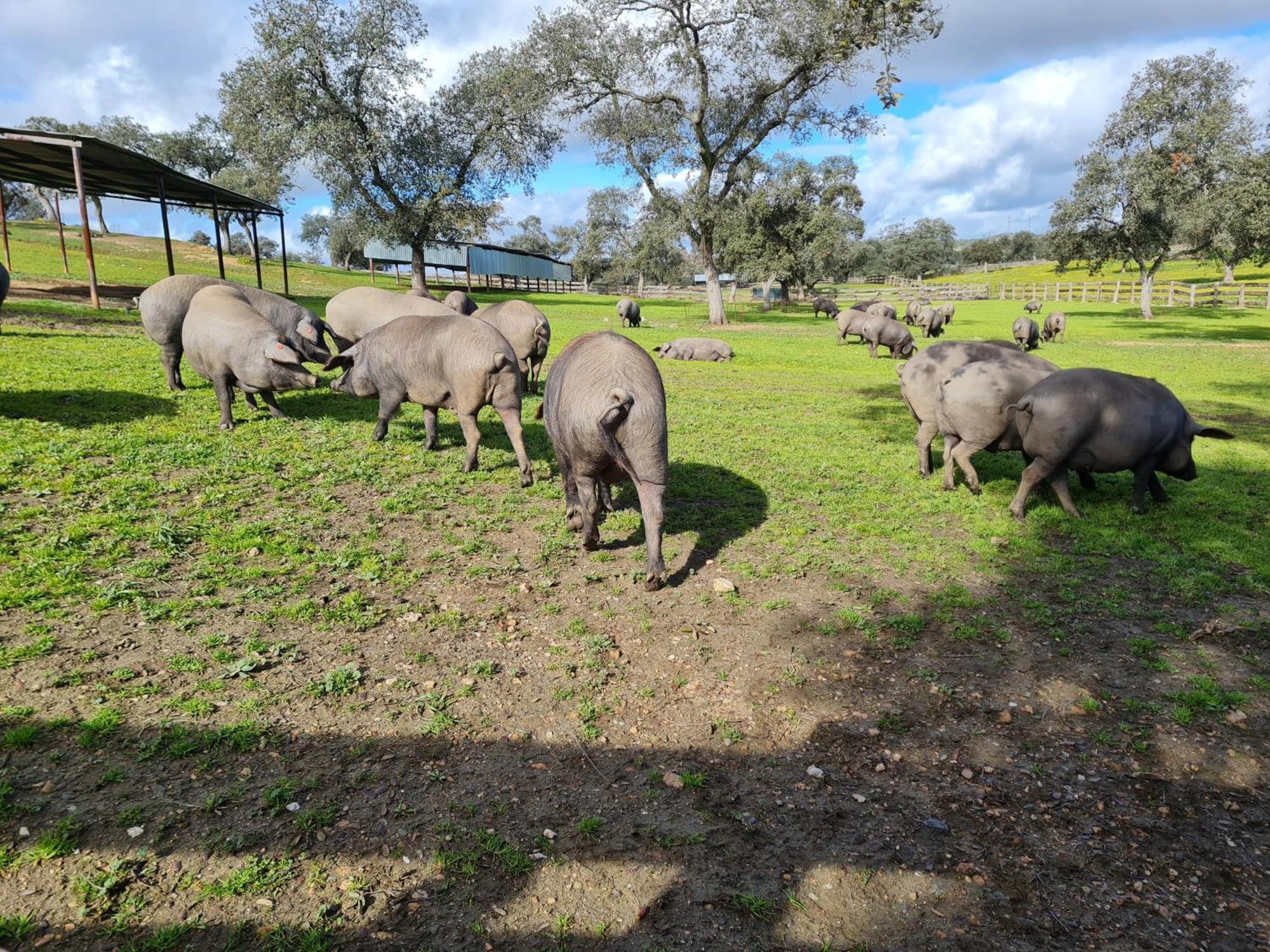 Alojamiento Rural Finca Barral El Garrobo Luaran gambar
