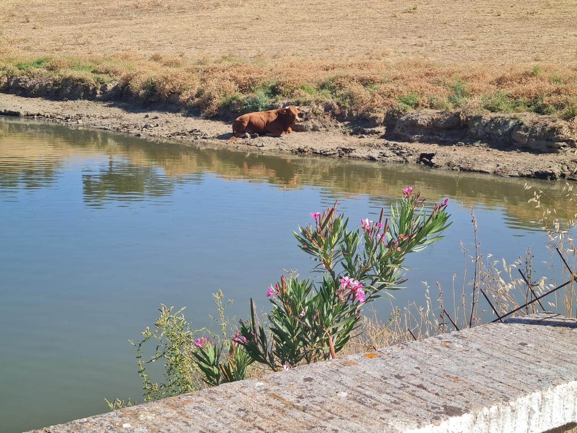 Alojamiento Rural Finca Barral El Garrobo Luaran gambar